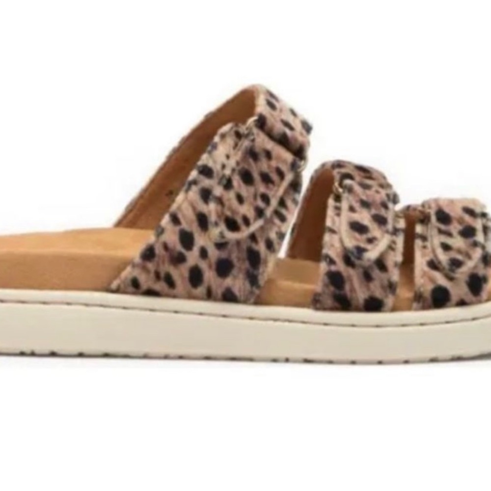 Børn Daintree Sandal Animal Printed Fabric Triple Buckle 10M - Picture 3 of 7